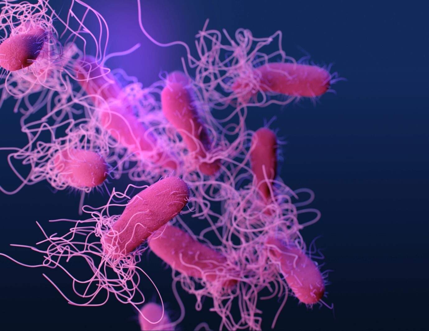 Microbes and antibiotic resistance | Pint of Science