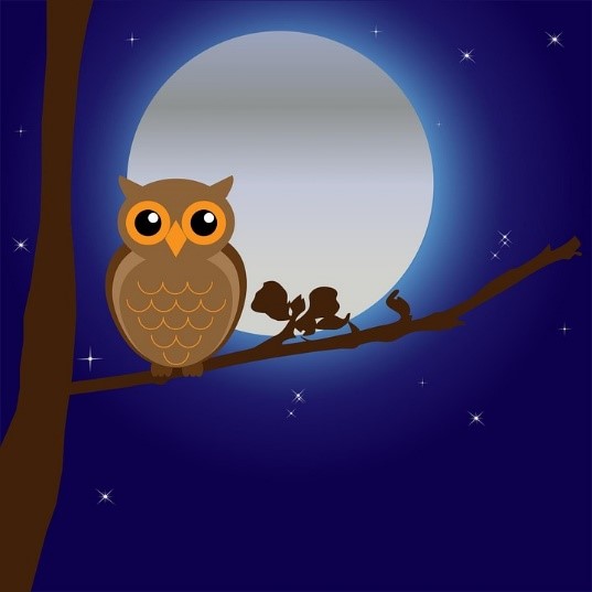 A cartoon drawing of a brown own with big yellow eyes sat on a tree branch looking face on. The background is a dark blue night sky with some stars and a big white moon behind the owl.