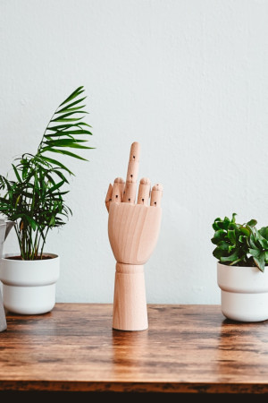 Wooden sculpture of a hand with middle finger raised