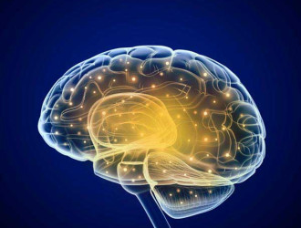 Mind 01 Brain