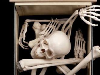 Body 11 Bones